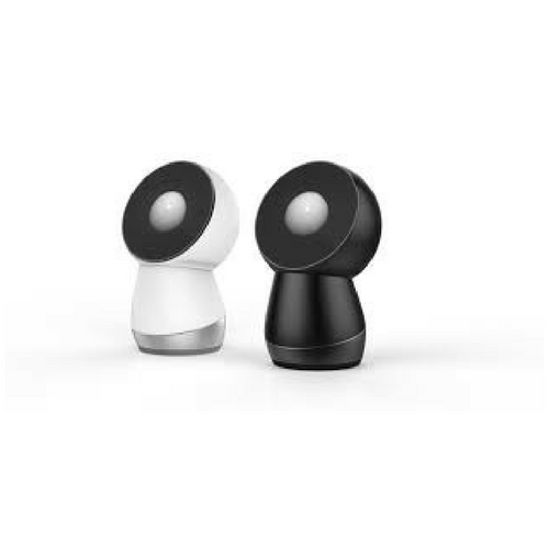 Lighting the Jibo Fire — SPRING